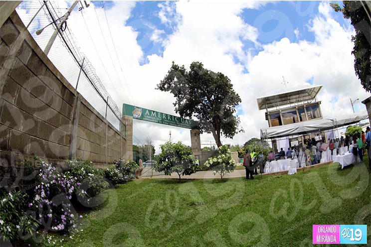 Empresa mexicana Amerricuas celebra quinto aniversario de fundación