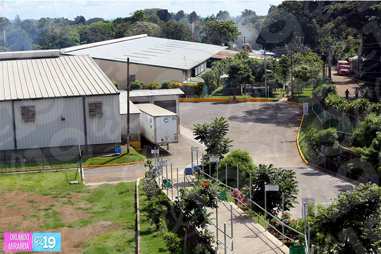 Empresa mexicana Amerricuas celebra quinto aniversario de fundación