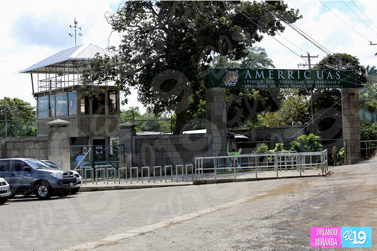 Empresa mexicana Amerricuas celebra quinto aniversario de fundación
