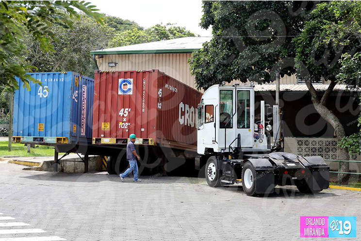 Empresa mexicana Amerricuas celebra quinto aniversario de fundación