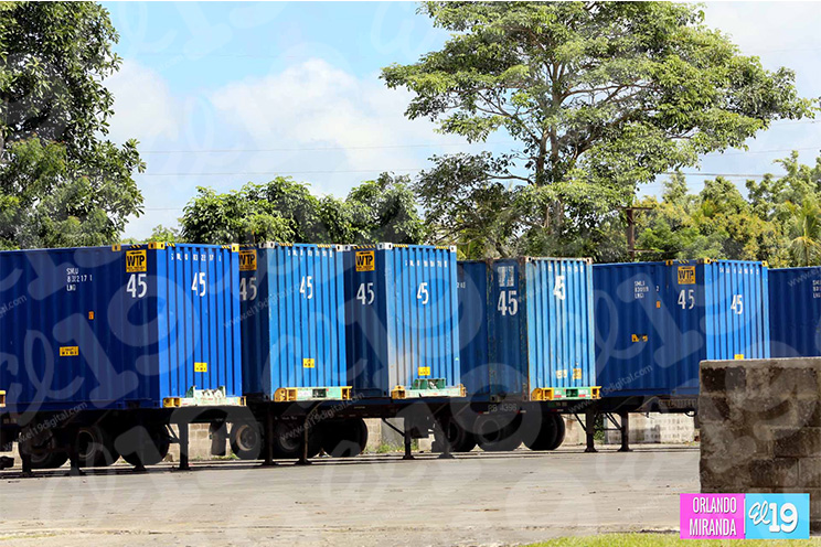 Empresa mexicana Amerricuas celebra quinto aniversario de fundación