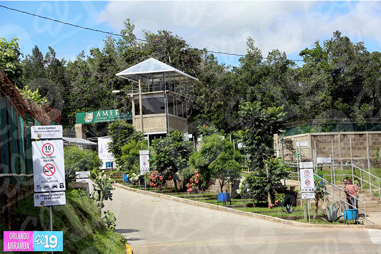 Empresa mexicana Amerricuas celebra quinto aniversario de fundación