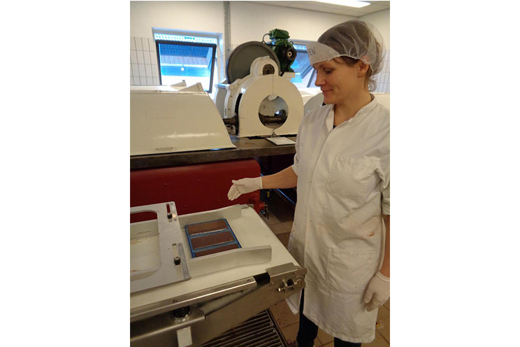 Mikkel Friis-Holm: “El cacao nicaragüense es el mejor del mundo”