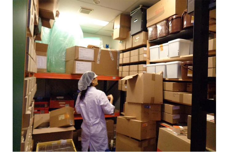 Mikkel Friis-Holm: “El cacao nicaragüense es el mejor del mundo”