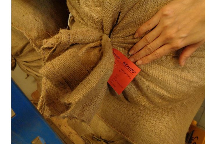 Mikkel Friis-Holm: “El cacao nicaragüense es el mejor del mundo”