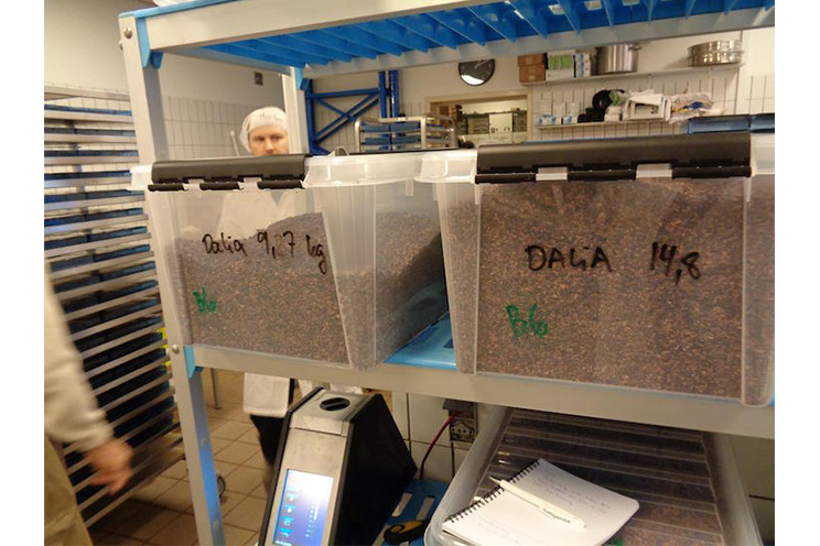 Mikkel Friis-Holm: “El cacao nicaragüense es el mejor del mundo”