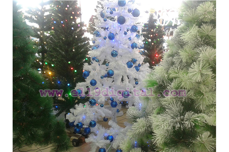 Comerciantes entusiasmados en inicio de temporada navideña