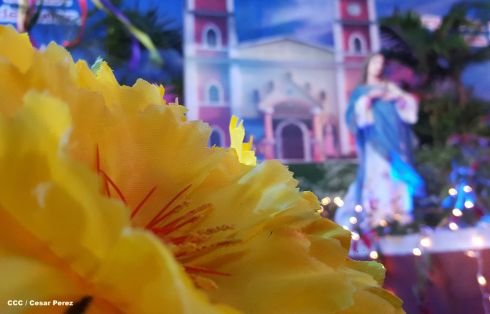 Altares marianos en Avenida de Bolívar a Chávez