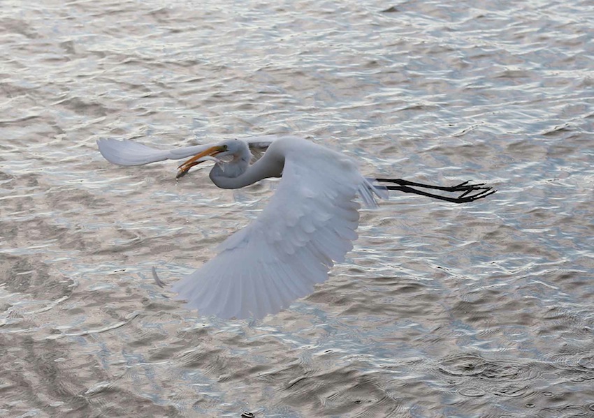Río San Juan, destino virgen de Nicaragua