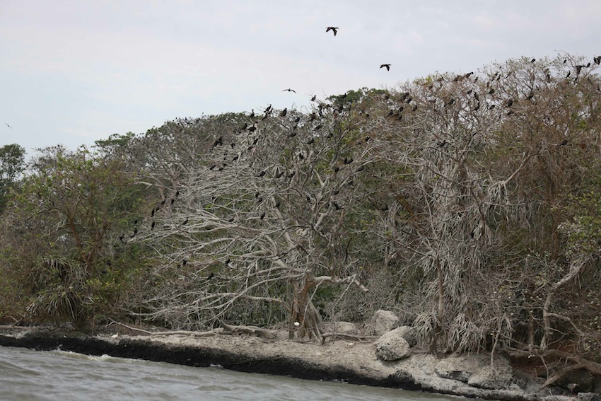 Río San Juan, destino virgen de Nicaragua