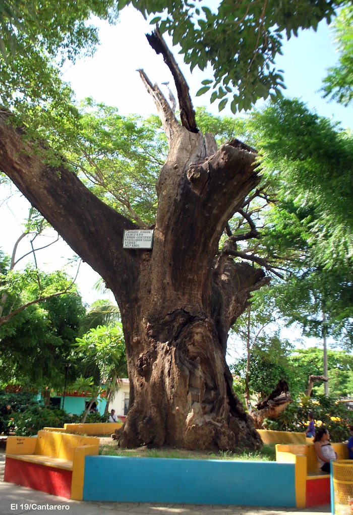 A 50 años de ser ciudad, Nagarote sigue progresando