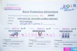 Entrega de bono productivo alimentario a familias de Mateare