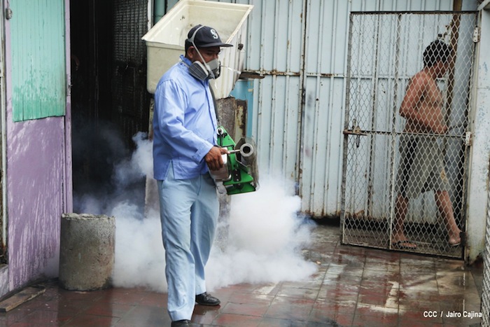 Gobierno y población en lucha frontal contra el dengue