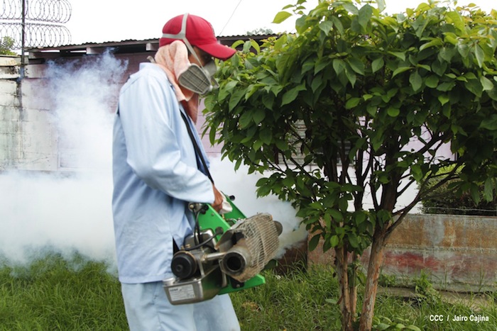 Gobierno y población en lucha frontal contra el dengue