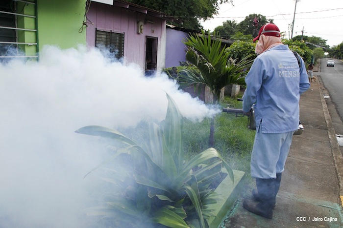 Gobierno y población en lucha frontal contra el dengue