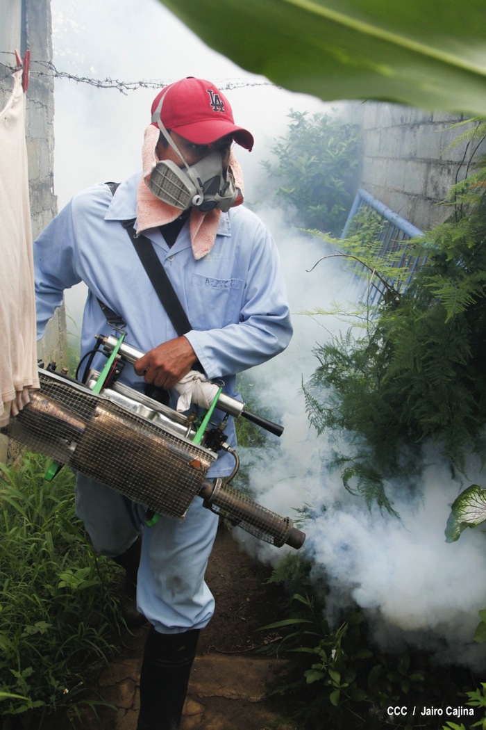Gobierno y población en lucha frontal contra el dengue