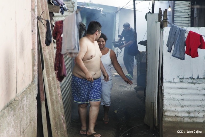 Gobierno y población en lucha frontal contra el dengue