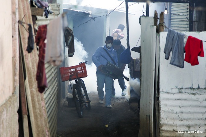 Gobierno y población en lucha frontal contra el dengue
