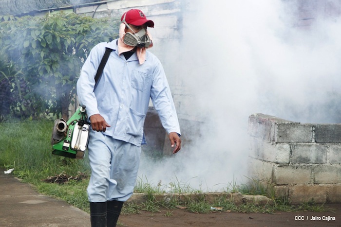 Gobierno y población en lucha frontal contra el dengue