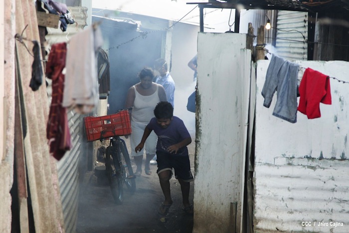 Gobierno y población en lucha frontal contra el dengue