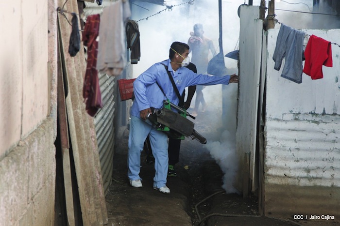 Gobierno y población en lucha frontal contra el dengue