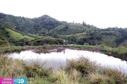 Gobierno Sandinista amplía los destinos agroturísticos en la Ruta del Café