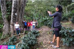 Gobierno Sandinista amplía los destinos agroturísticos en la Ruta del Café