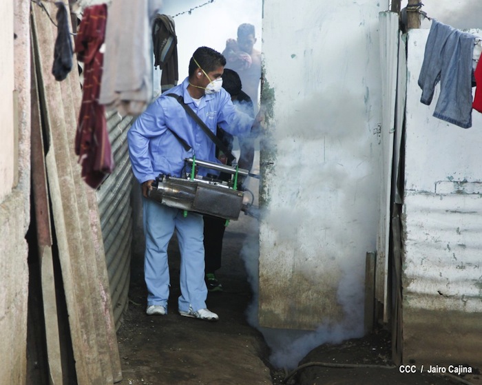 Gobierno y población en lucha frontal contra el dengue