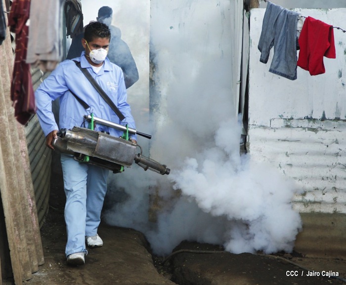 Gobierno y población en lucha frontal contra el dengue