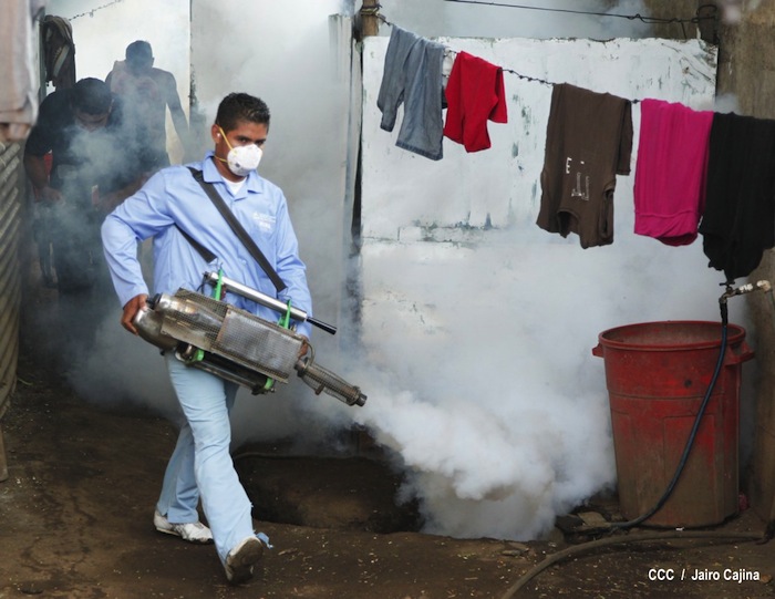 Gobierno y población en lucha frontal contra el dengue