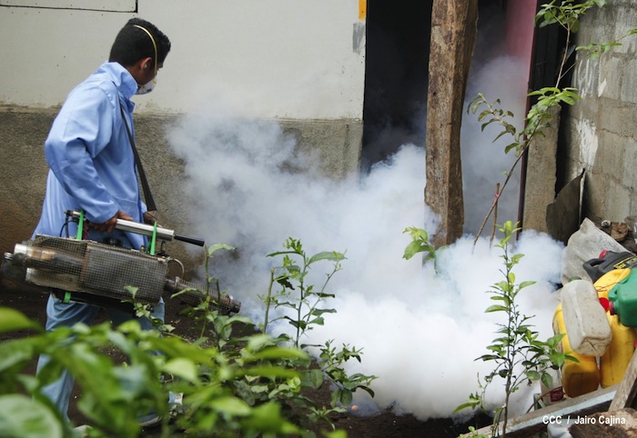 Gobierno y población en lucha frontal contra el dengue