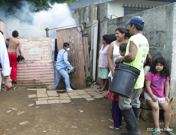 Gobierno y población en lucha frontal contra el dengue