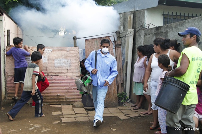 Gobierno y población en lucha frontal contra el dengue