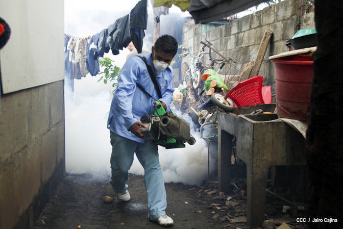Gobierno y población en lucha frontal contra el dengue