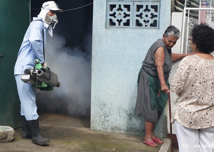 Gobierno y población en lucha frontal contra el dengue