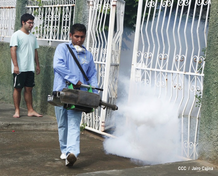 Gobierno y población en lucha frontal contra el dengue