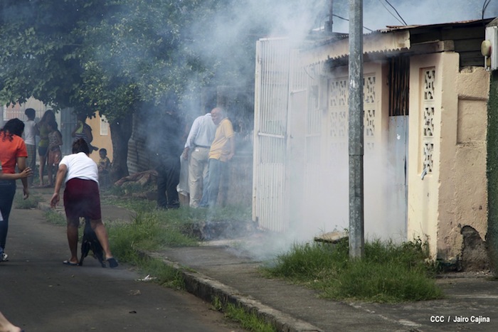 Gobierno y población en lucha frontal contra el dengue