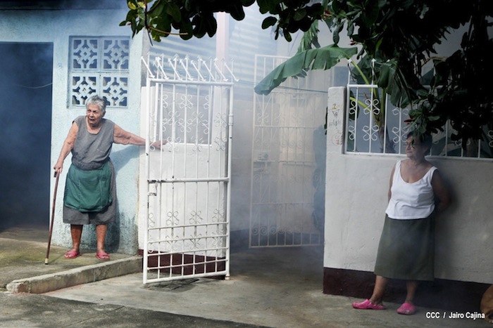 Gobierno y población en lucha frontal contra el dengue
