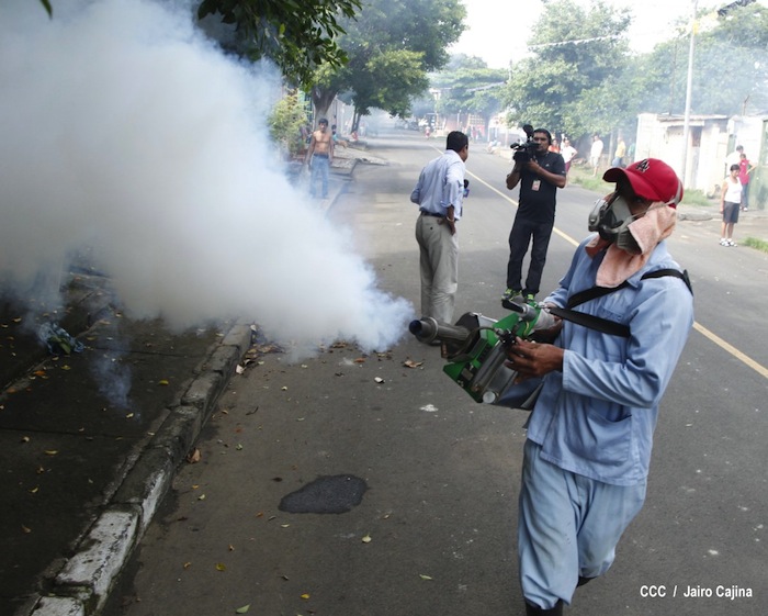 Gobierno y población en lucha frontal contra el dengue