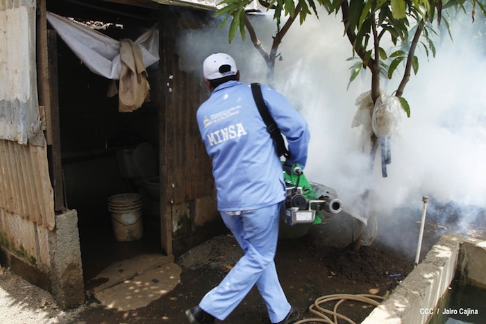 Gobierno y población en lucha frontal contra el dengue