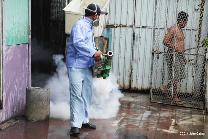 Gobierno y población en lucha frontal contra el dengue