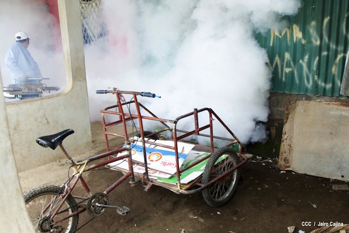 Gobierno y población en lucha frontal contra el dengue