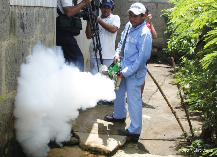 Gobierno y población en lucha frontal contra el dengue