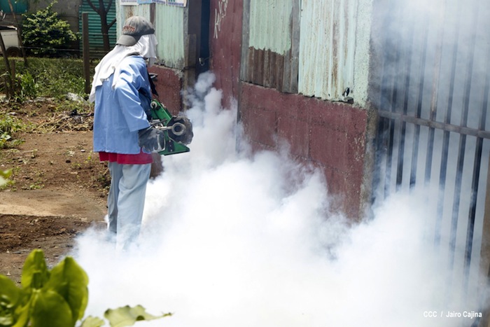 Gobierno y población en lucha frontal contra el dengue