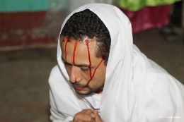 Todo listo para Noveno Encuentro Nacional de Judeas Tradicionales