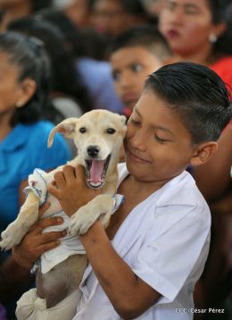 Masaya celebra un año más a San Lázaro con el tradicional desfile de mascotas