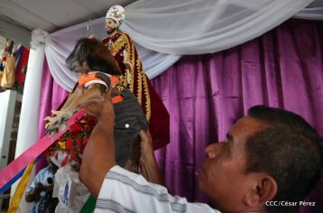 Masaya celebra un año más a San Lázaro con el tradicional desfile de mascotas