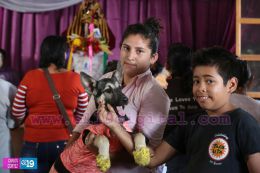 Masaya celebra un año más a San Lázaro con el tradicional desfile de mascotas