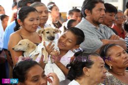 Masaya celebra un año más a San Lázaro con el tradicional desfile de mascotas