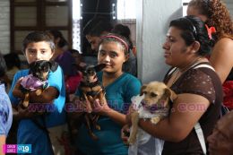 Masaya celebra un año más a San Lázaro con el tradicional desfile de mascotas